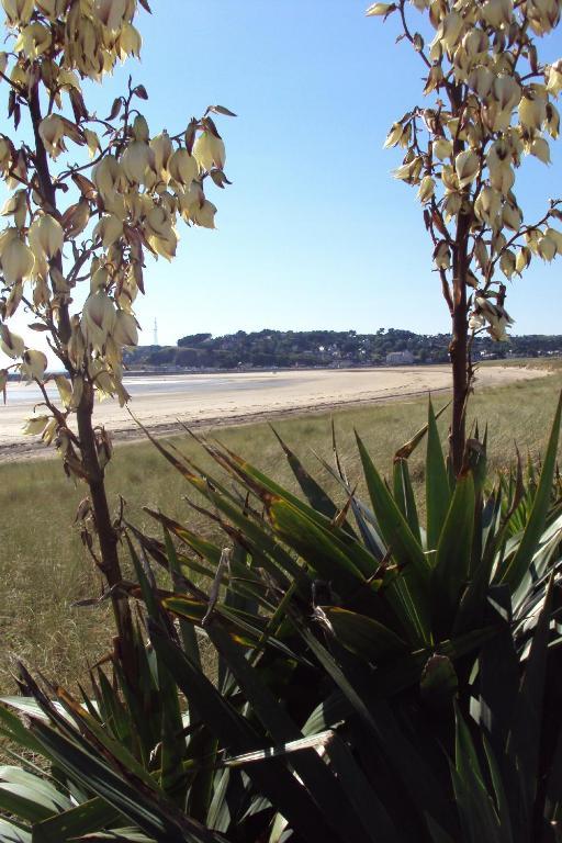 Les Chambres Des Gites Des Isles Barneville-Carteret Esterno foto